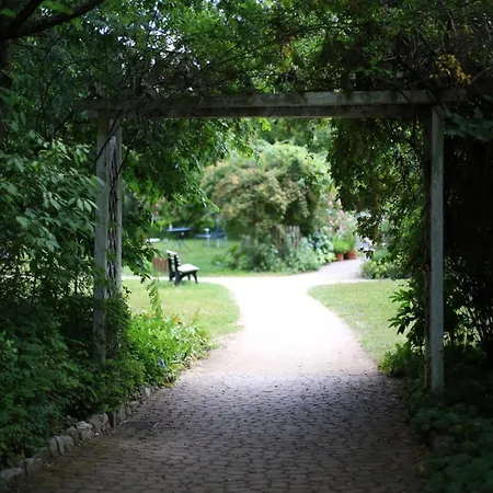 Hotel Haus Aja Textor-goethe *