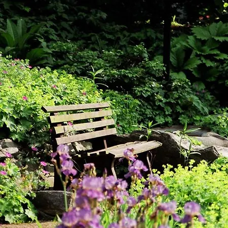 Haus Aja Textor-goethe * Frankfurt am Main