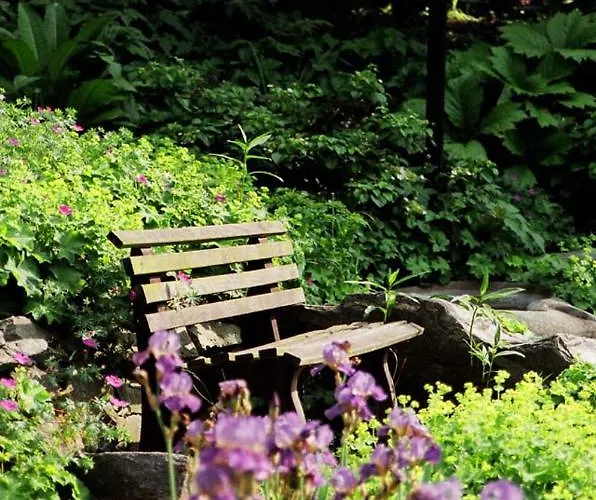 Haus Aja Textor-goethe * Frankfurt am Main